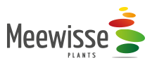 Meewisse Plants